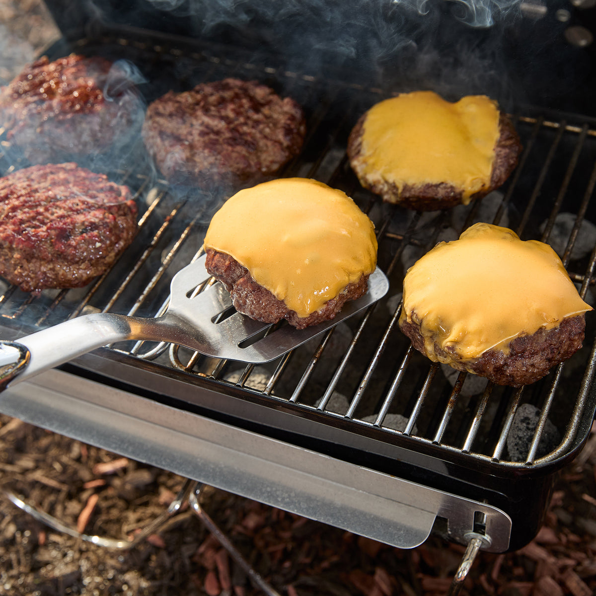 Weber Go-Anywhere Charcoal Braai