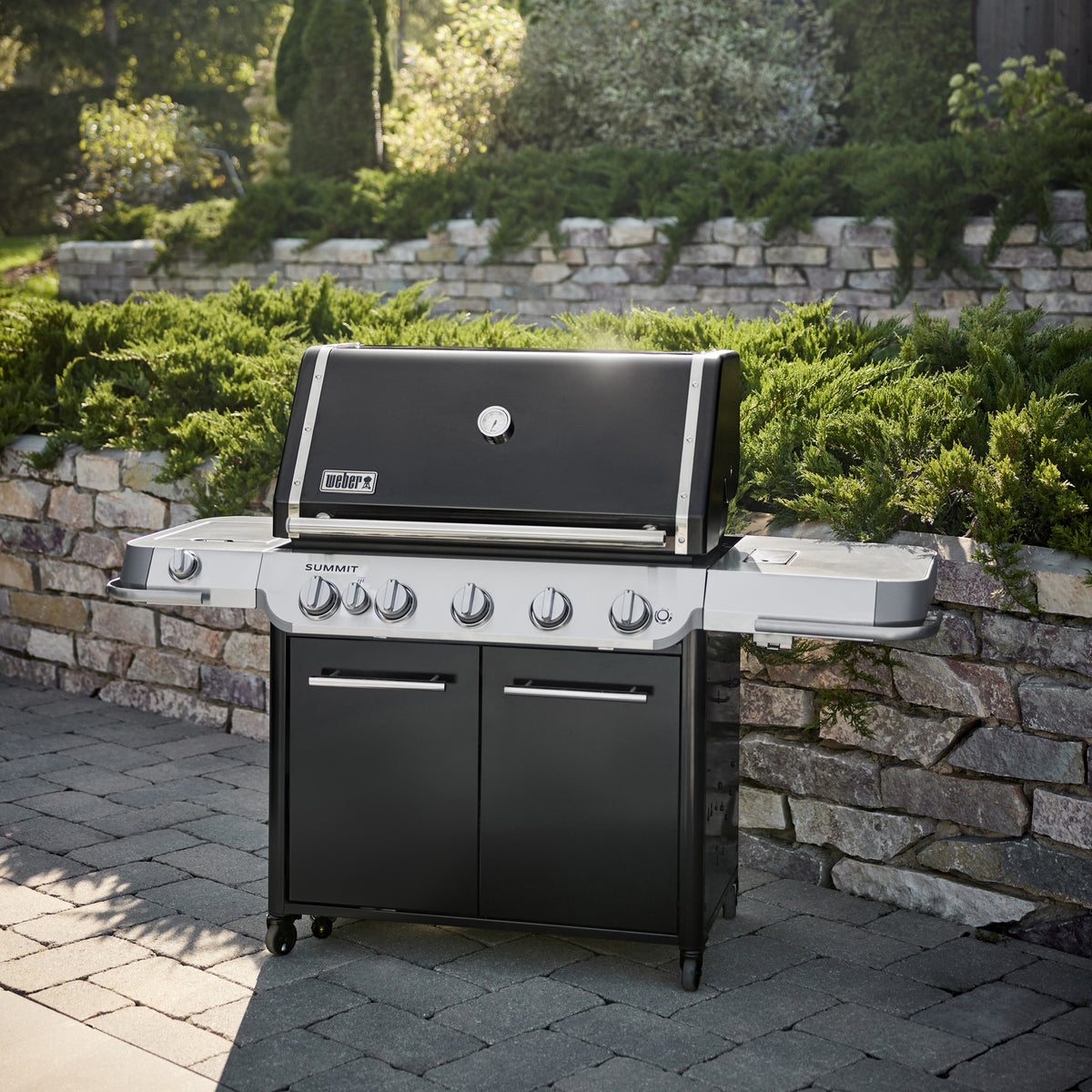 Weber Summit FS38 E in use