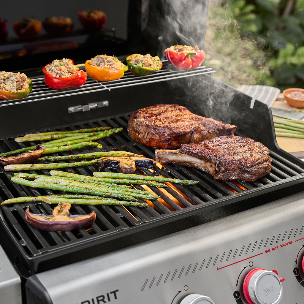 Weber Spirit E-435 in use