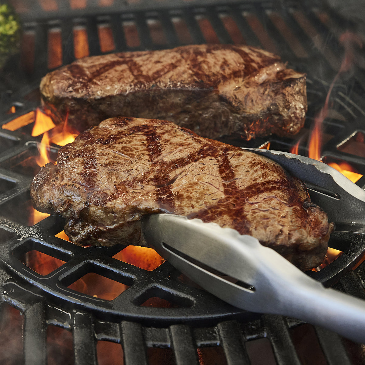 Weber Genesis EPX-435W sear grate