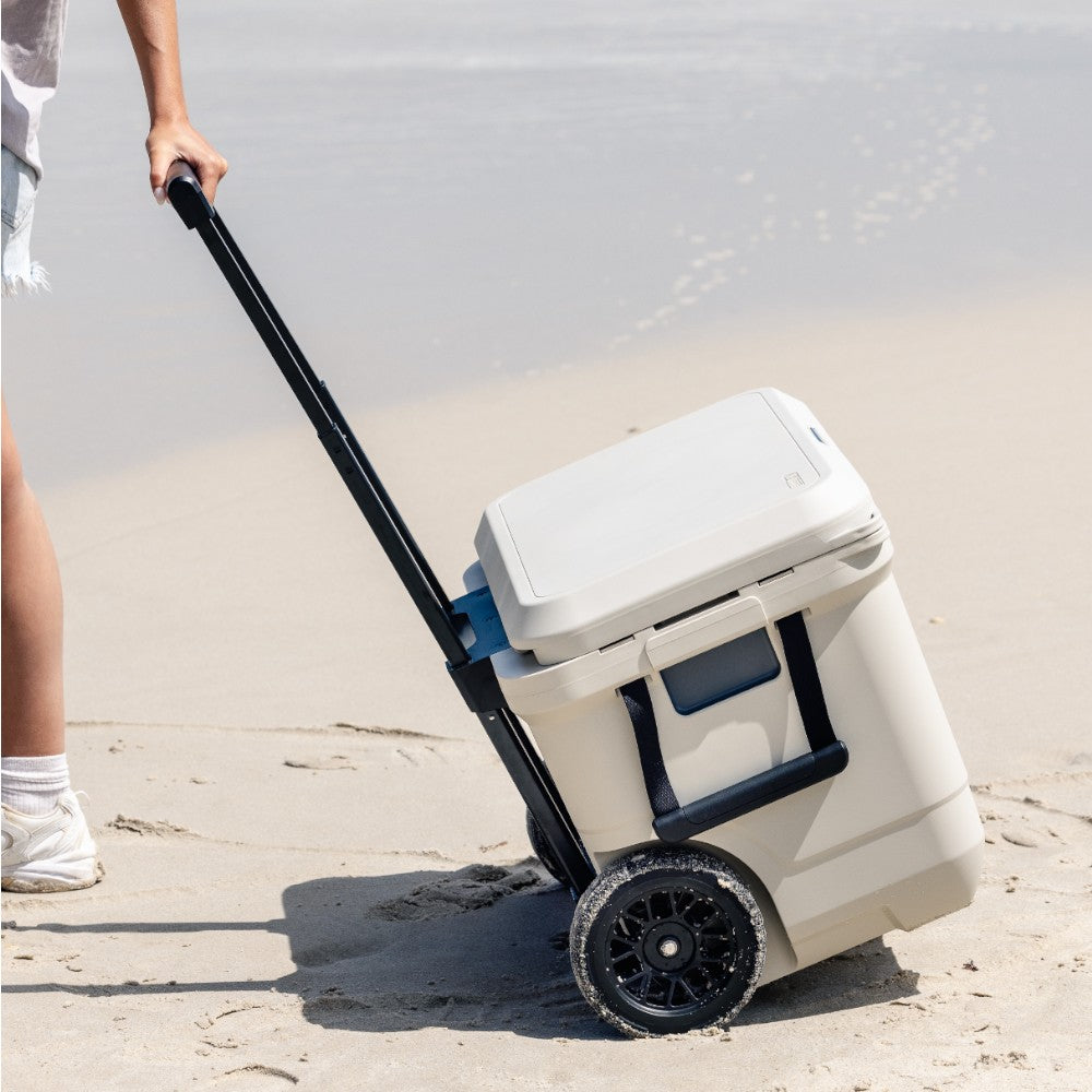 Coleman Pro Series 55QT wheeled cooler features