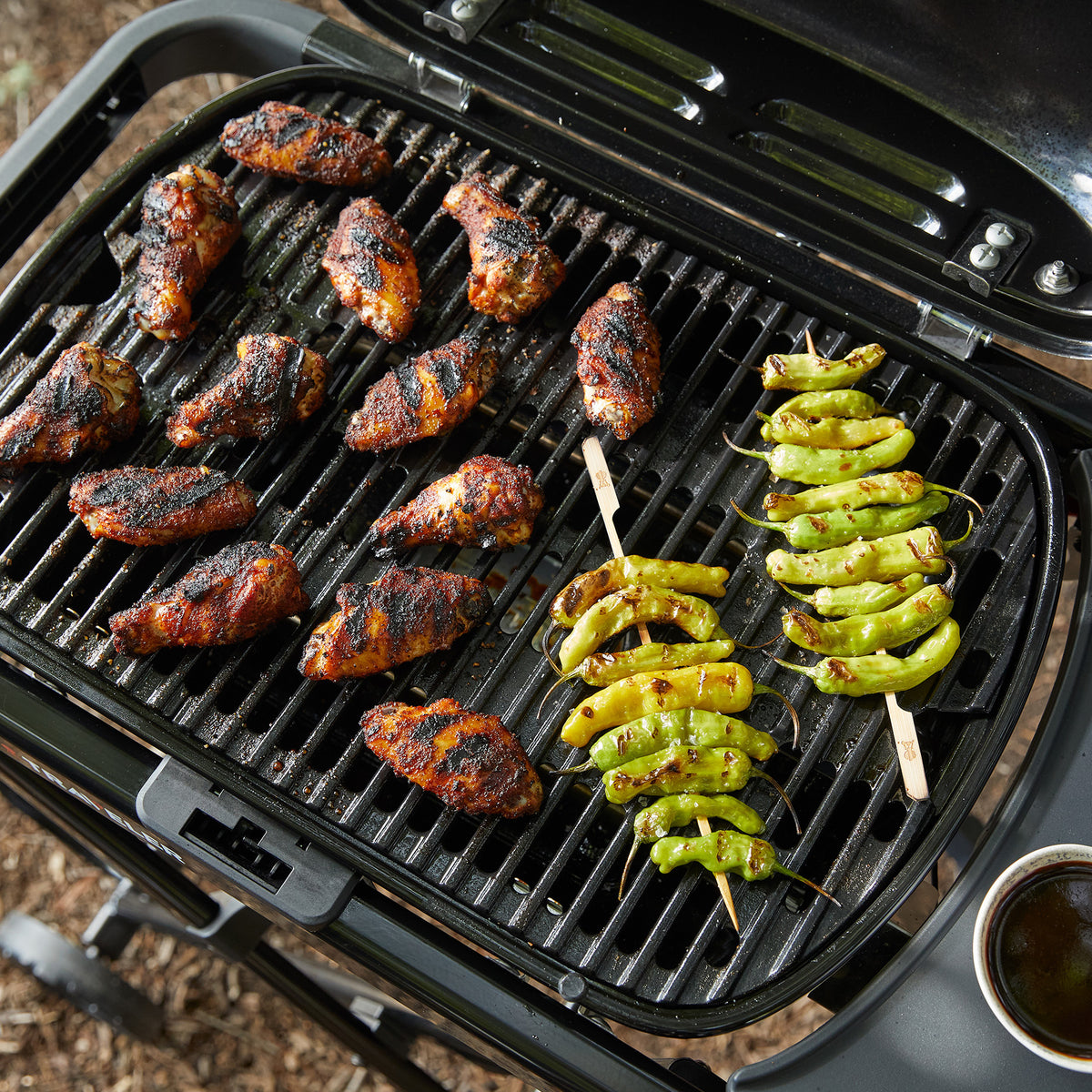 Weber Traveler Compact Portable Gas Braai