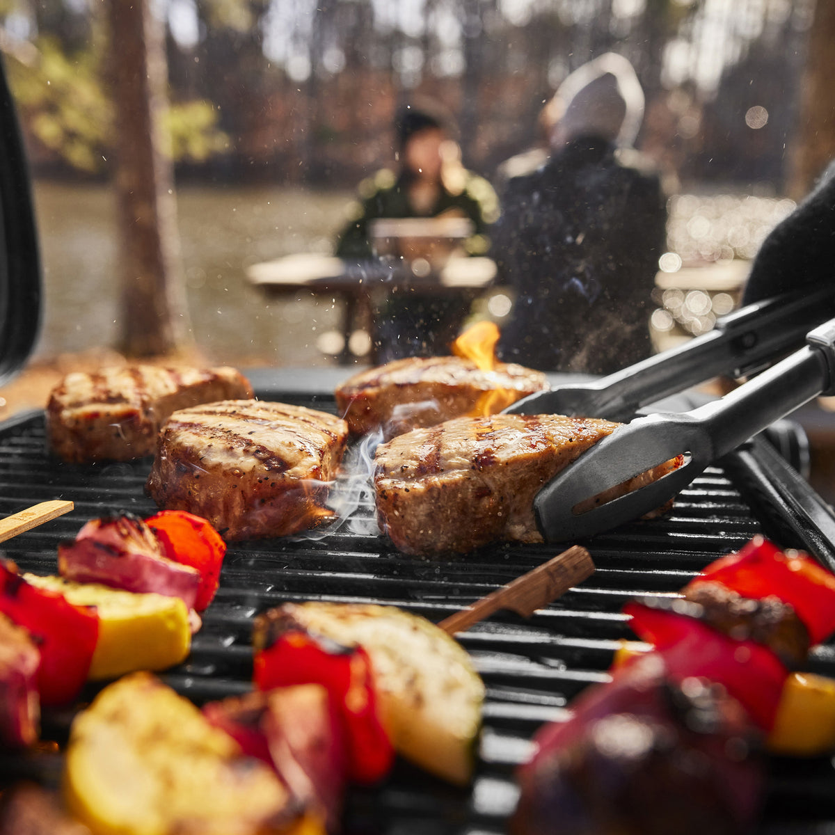 Weber Traveler Compact Portable Gas Braai