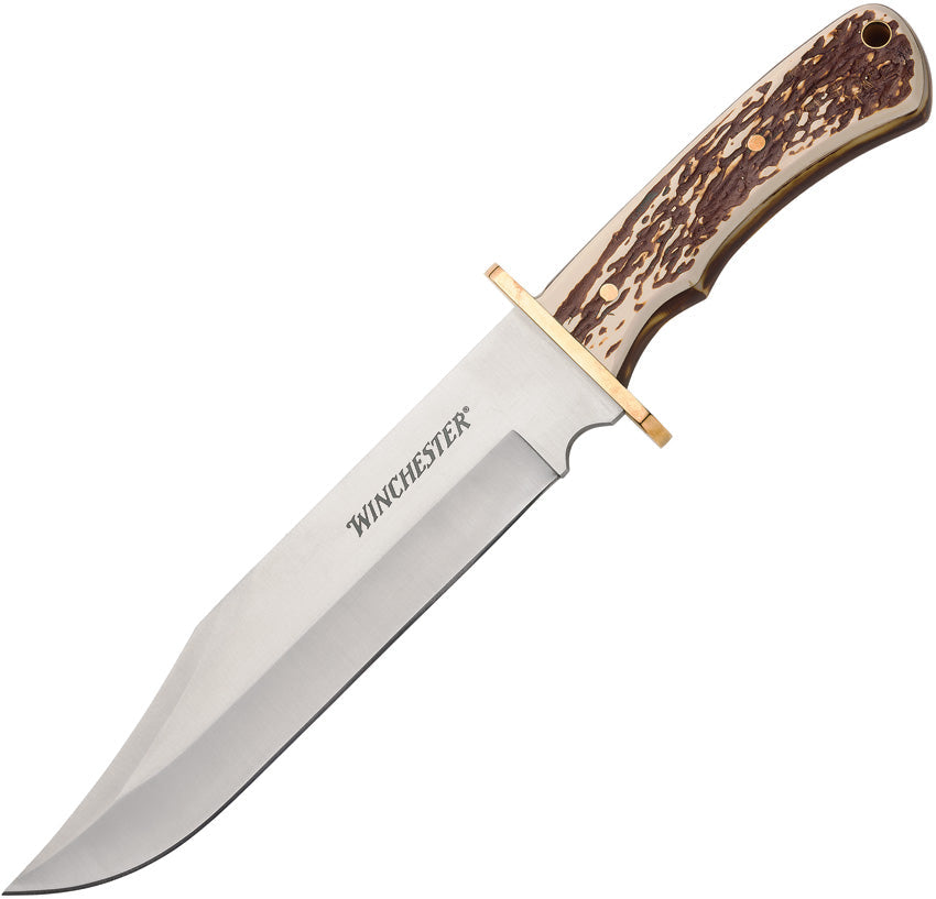 Winchester XL stag bowie knife 13.75 inch with brass guard
