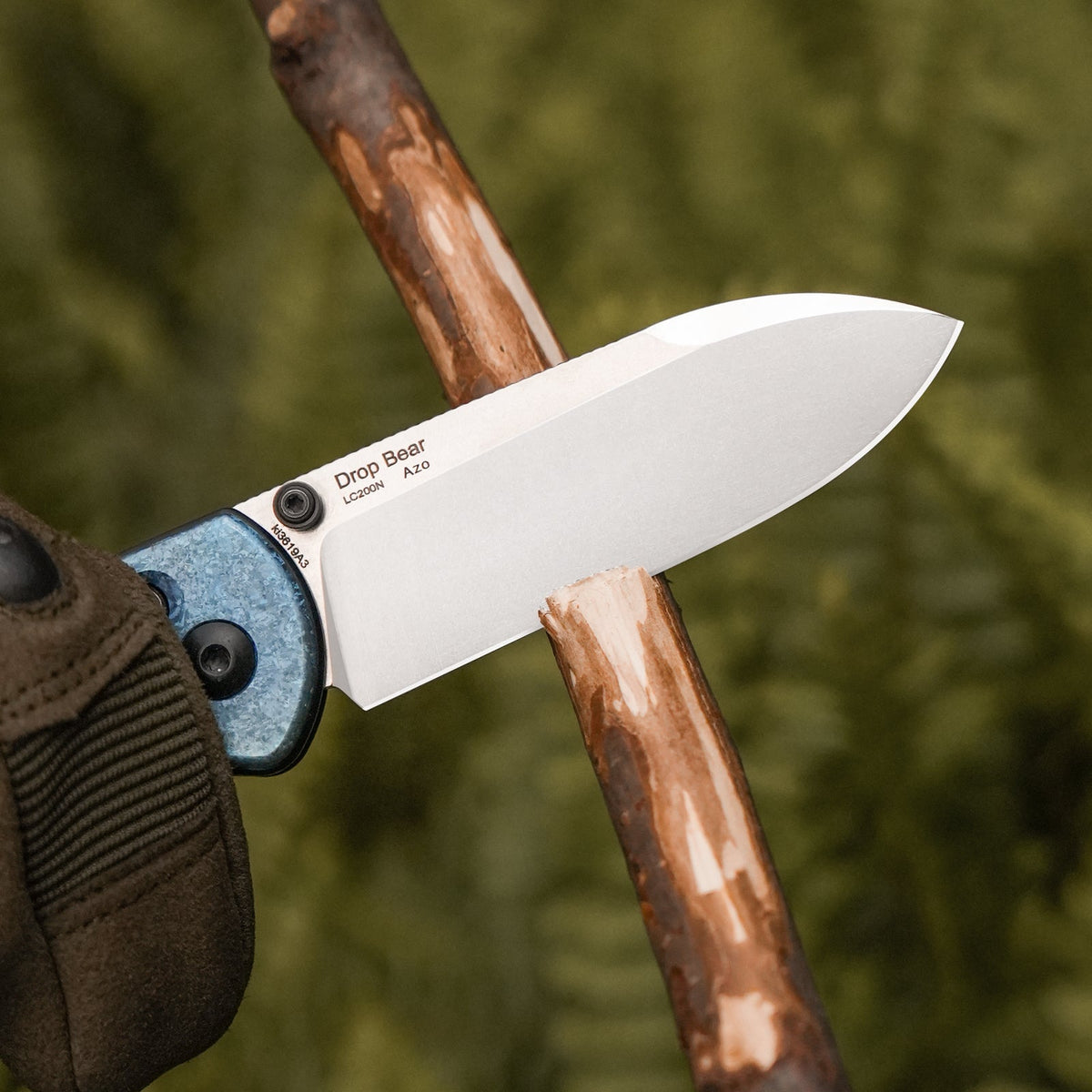Kizer Drop Bear Ki3619A3 6